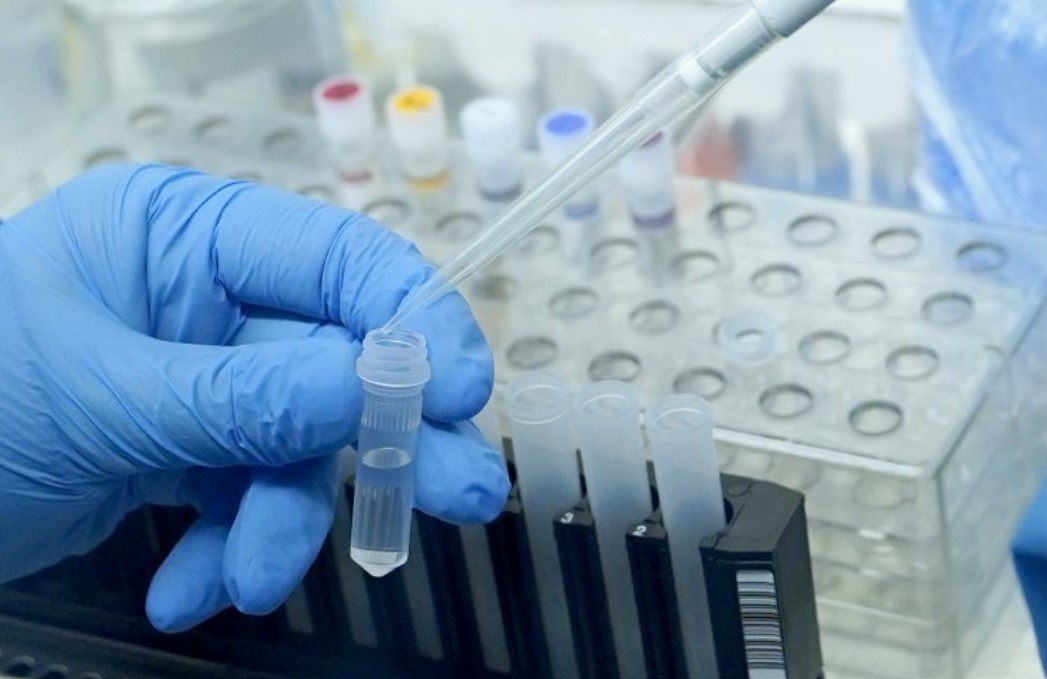 За първи път у нас е установен подваринат на Омикрон Това